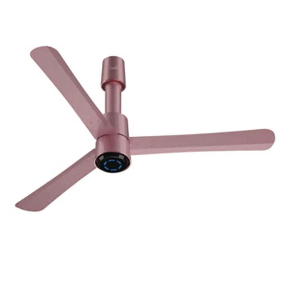 Blowhard Smart Fan